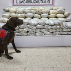 Van'da arazide 60 kilo skunk ele geçirildi