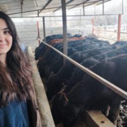 Atama bekleyen Asena, devlet desteğiyle hayvancılığa başladı