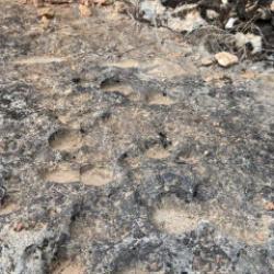 Diyarbakır&rsquo;da binlerce yılda oluşan &ldquo;Damla Lapyaları&rdquo; g&ouml;r&uuml;nt&uuml;lendi