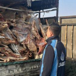 Gaziantep'te 1 ton 900 kilogram bozulmuş et ele geçirildi