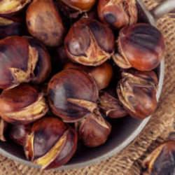 Kestanenin faydaları! Kestane diyette yenir mi