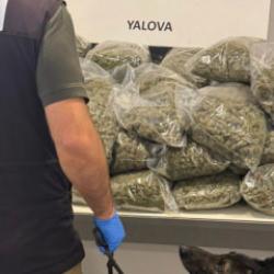 Limandaki TIR'da 23 milyon lira değerinde 37,7 kilo uyuşturucu ele geçirildi; 5 gözaltı