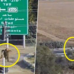 Mossad'ın yeni patronu Lofman, Hamas savaşçılarından kaçtı kameraya yakalandı