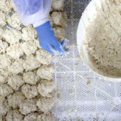 Osmanlı'dan gelen 81 yıllık sır! Bir sıkımı bir öğüne bedel... 