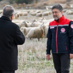 Tiftik için yeni dönem: Özel destek geliyor