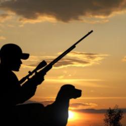 Yaban keçisi avladılar, 954 bin liralık cezayla hayatlarının şokunu yaşadılar