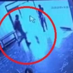 Belediyeye ait tesiste kediye tekme attı