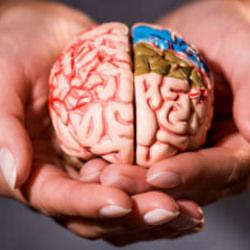 Beyninizi 8 sene birden gen&ccedil;leştiriyor! Şartlara sahip olan yaşadı