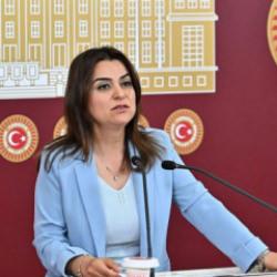 DEM'li Ko&ccedil;yiğit: "Silahların susması bir sonu&ccedil; değil, başlangı&ccedil;tır" 