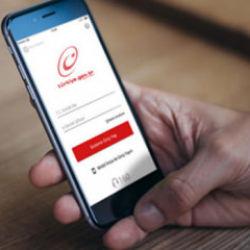 e-Devlet'e arabası olanın işini kolaylaştıracak &ouml;zellik! Tek tuşla...