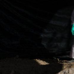 Harvard'da akıl almaz rezalet! Kadavraları par&ccedil;a par&ccedil;a edip 's&uuml;s eşyası' gibi sattılar!