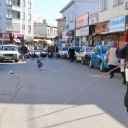 Hindiler &ccedil;arşıda gezdirilerek satılıyor