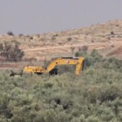 İsrail, 'g&uuml;venlik' bahanesiyle 400 zeytin ağacını s&ouml;kt&uuml;