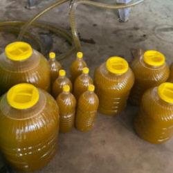 Kara meyveden altın sıvıya yolculuk: 6 kilodan 1 kilo &ccedil;ıkıyor