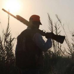 Kars'ta keklik avlayan 4 kişiye 98 bin 351 lira ceza kesildi