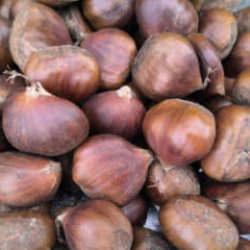 Kış sofralarının vazge&ccedil;ilmezi! Kestane, fiyatıyla y&uuml;zleri g&uuml;ld&uuml;r&uuml;yor