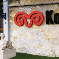 Ko&ccedil; Holding'den &Ccedil;in atağı: Ar&ccedil;elik yeni d&ouml;neme giriyor