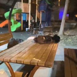 Kocaeli'nde liseli dehşeti! 