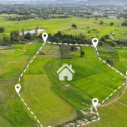 Parasını bu topraklara g&ouml;men paraya para demiyor! 10 kat arttı...