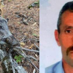 Erzincan'da domuz saldırısı: 1 &ouml;l&uuml;! 