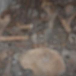 Suriye'de eski 'Devlet G&uuml;venliği Merkezi'nden toplu mezar &ccedil;ıktı