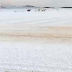 Suudi Arabistan&rsquo;ın y&uuml;ksek kesimlerinde yılın ilk karı yağdı