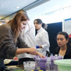 "T&uuml;rkiye Sıfır Atık &Ccedil;alıştayları" ile yerelden ulusala Sıfır Atık