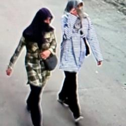 Y&uuml;zlerini eşarpla gizleyen anne-kız, girdikleri evlerden altın ve ziynet eşyası &ccedil;aldı