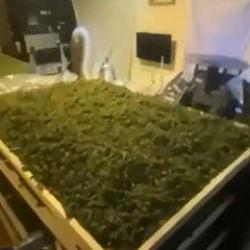 65 ilde uyuşturucu operasyonu: Bakan Yerlikaya paylaştı! 768 g&ouml;zaltı