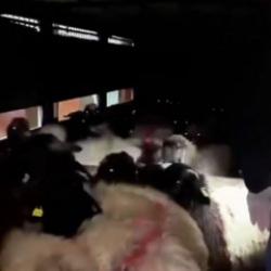 Siirt'te uyuşturucu operasyonu: K&uuml;&ccedil;&uuml;kbaşların karın boşluğuna gizlenmişler