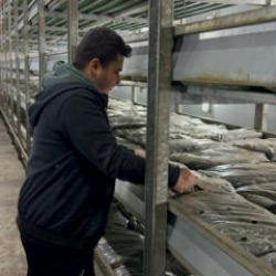 Memurluğu bıraktı k&ouml;y&uuml;ne d&ouml;nd&uuml;: Devlet desteğiyle hayatı değişti