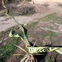 Adana'da yol kenarında kadın cesedi bulundu