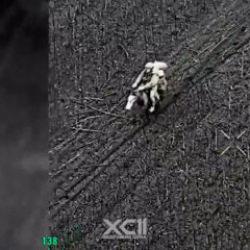 Atlı piyadelerin drone ile imtihanı... Ukrayna-Rusya savaşında o anlar