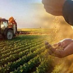 Başvurular 31 Aralık'ta sona erecek! TZOB'tan uyarı geldi