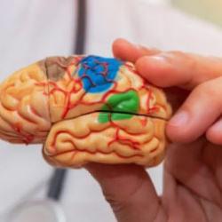 Beyninizi 6 ay birden yaşlandırıyor! Hızla beyin yaşınızı y&uuml;kseltiyor