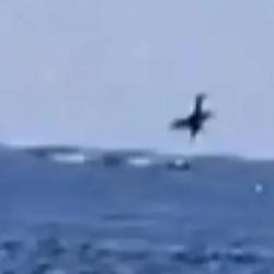  Brezilya'da u&ccedil;ak kazası: Pilotun cansız bedenine ulaşıldı