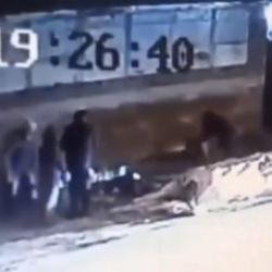 Bursa'da başıboş sokak k&ouml;peği dehşeti: 3 kişi yaralandı