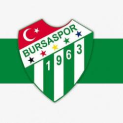 Bursaspor Galata K&ouml;pr&uuml;s&uuml;'nde d&uuml;zenlenecek Filistin eylemi i&ccedil;in &ccedil;ağrı yaptı