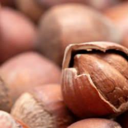 Fındık fiyatları y&uuml;kselişe ge&ccedil;ti