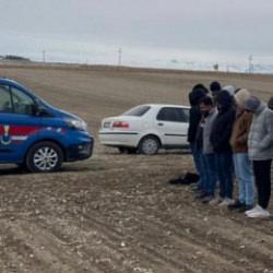 Horoz, kaz derken sıra k&ouml;peklere geldi: 19 kişi hakkında işlem yapıldı!