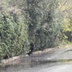 İstanbul donuyor! Sıcaklık bir anda d&uuml;şt&uuml;: Kar yağışı başladı....