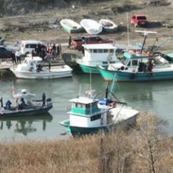 Ka&ccedil;ak midye avcılarına 353 bin lira ceza kesildi