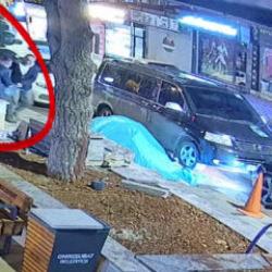 Kahramanmaraş'ta l&uuml;ks ara&ccedil;la gelip parktaki ağacı &ccedil;aldılar