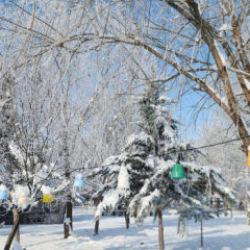 Elazığ'da termometreler eksi 22'yi g&ouml;sterdi