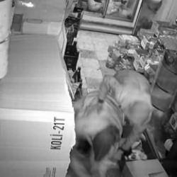 Gaziantep'te markete sığınan k&uuml;&ccedil;&uuml;k kızı darbedip defalarca bı&ccedil;akladı