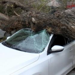 İstanbul'da lodos kabusu! Ağa&ccedil;lar yıkıldı, tekneler devrildi: 1 saniye ile kurtuldum