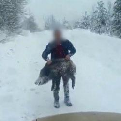 Sinop'ta bir kişi elleriyle domuz yakaladı