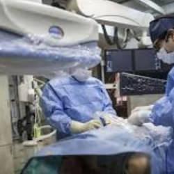 T&uuml;rkiye'de 2025 yılında 5 bin 95 organ nakli ile binlerce hasta şifa buldu