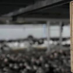 1 odada başladı, şimdi siparişlere yetişemiyor: 40 g&uuml;nde tam 3,5 ton!