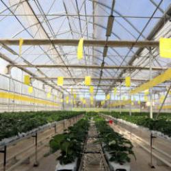 Gaziantep'te dev tesis harıl harıl &ccedil;alışıyor! &Ccedil;&ouml;pler elektriğe d&ouml;n&uuml;yor!